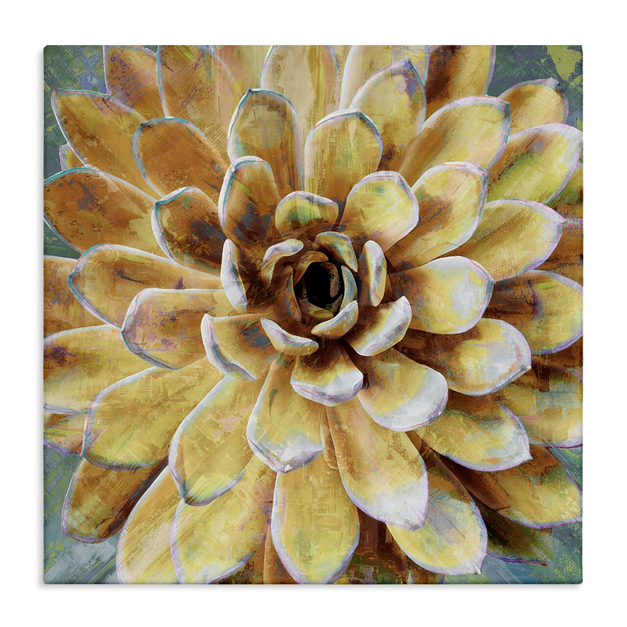 Stupell Industries Yellow Botanical Succulent Bloom Painting Canvas Wall Art
